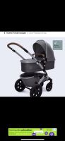 Joolz Geo 2 / 3in1 Kinderwagen Rheinland-Pfalz - Selters Vorschau