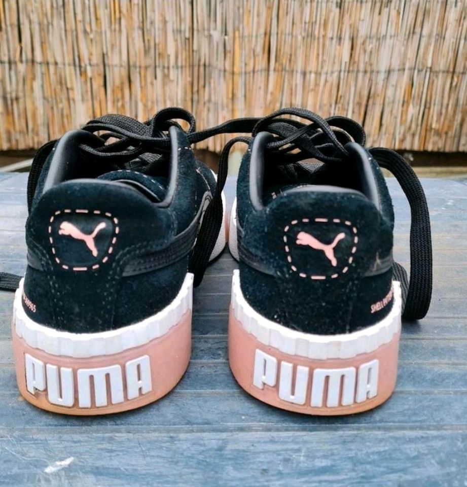 Puma Schuhe in Brück