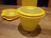 1 x Tupperware Bungee  Dose flexibler Deckel gelb 800 ml ( 6  Stk Wandsbek - Hamburg Poppenbüttel Vorschau