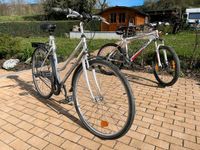 Damenfahrrad Peugeot, Fahrrad Baden-Württemberg - Auenwald Vorschau