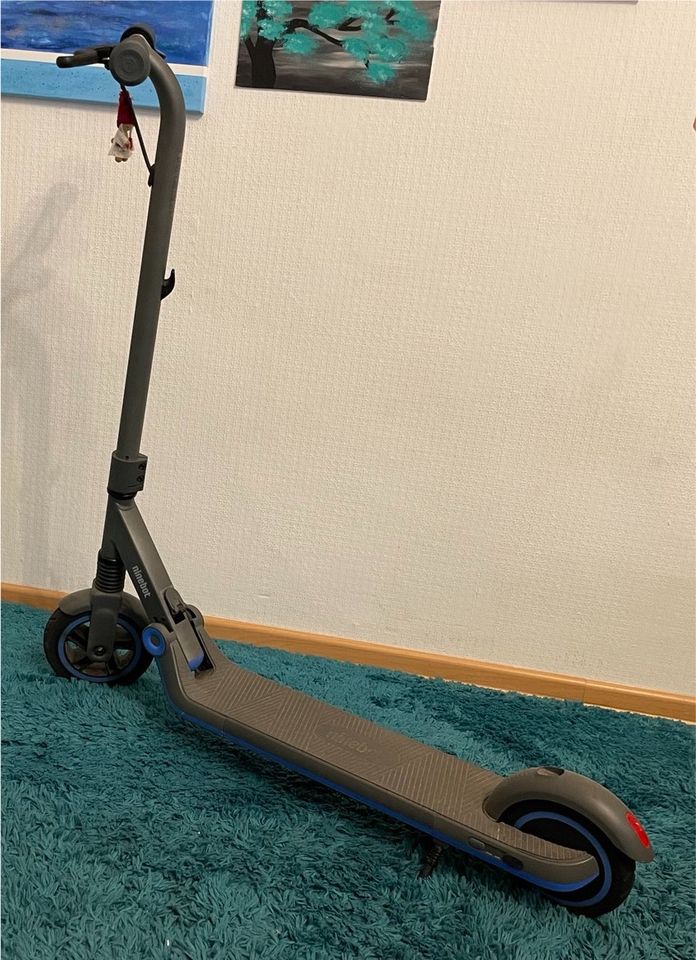 Ninebot eKickScooter Zing E10 Powered by Segway in Halle