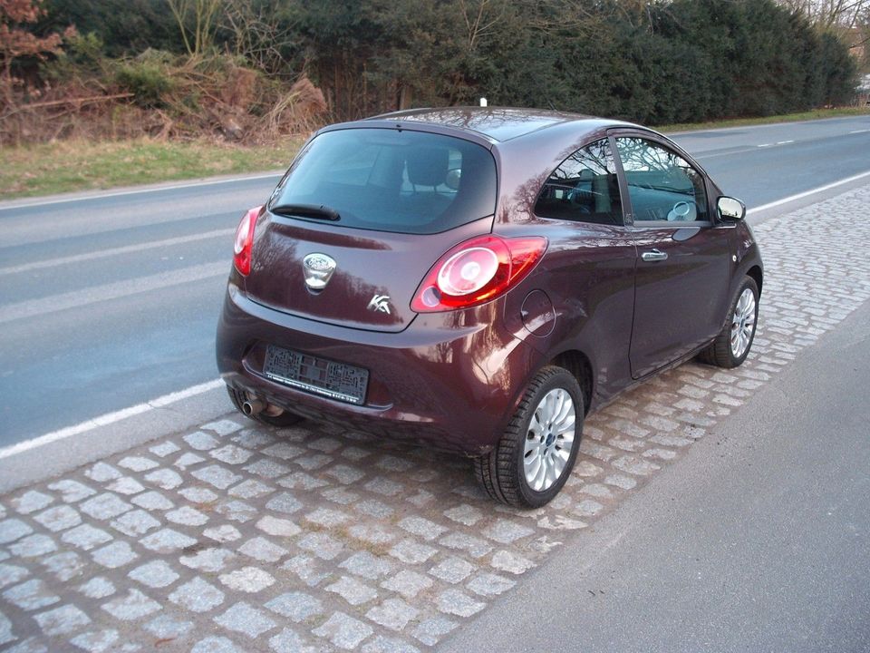 Ford Ka/Ka+ 1,2 Concept in Loxstedt