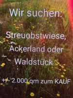 Wiese Wald mit Bach lauf oder Weiher Bayern - Bad Staffelstein Vorschau