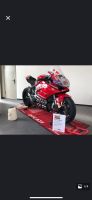 Ducati Panigale Baden-Württemberg - Rielasingen-Worblingen Vorschau