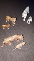 Schleich Tiger (Jaguar und Gepard sind Verkauft) Hessen - Gießen Vorschau