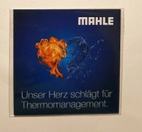 MAHLE Magnete 2 Stück Niedersachsen - Dassel Vorschau