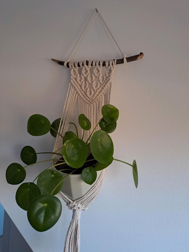 Makramee Blumenampel Wandbehang Wanddeko Boho Geschenkidee in Ebstorf