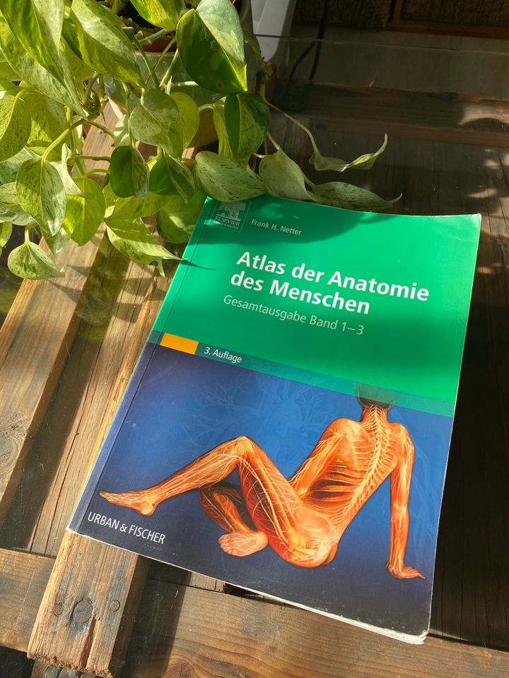 Atlas der Anatomie „Netter“, 3. Auflage in Wildeck