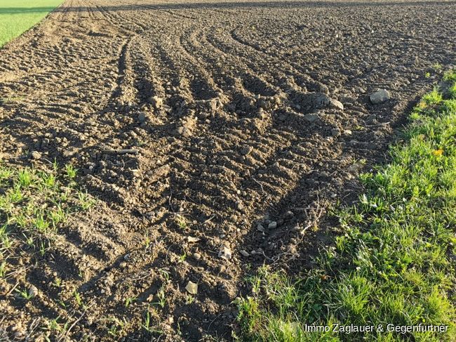 2,3 ha ( 23000 m² ) große Ackerfläche in Moosfürth - ca. 2 km von Wallersdorf ***** in Wallersdorf