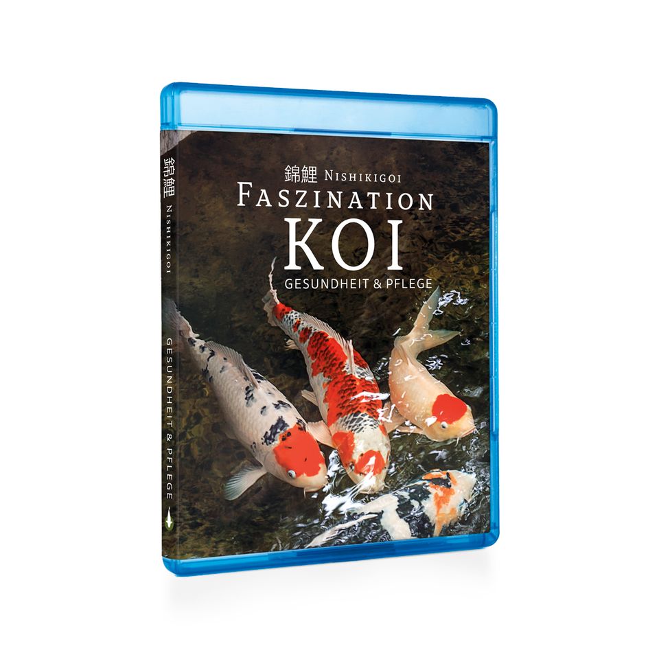 Koi Film Ratgeber - Faszination Koi | BluRay BOX (Teil 1-3) in Waldfeucht