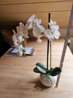 ❤️ Künstliche Orchidee weiß neu Blume Deko Wohnzimmer Bad Pflanze Bayern - Hagelstadt Vorschau