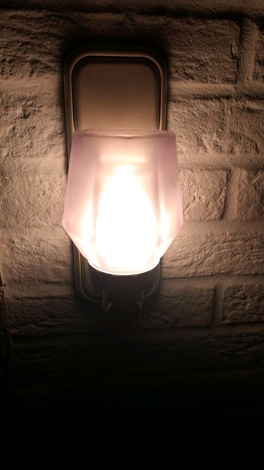 Scentsy Lampe Neutrall/ganz leicht rosa in Groß Rheide