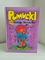 Pumuckl Buch 15 lustige Streiche Schleswig-Holstein - Fahrdorf Vorschau