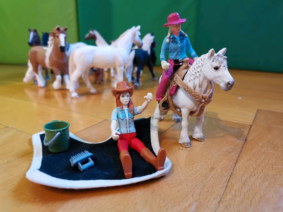 Pferde Schleich in Molschleben