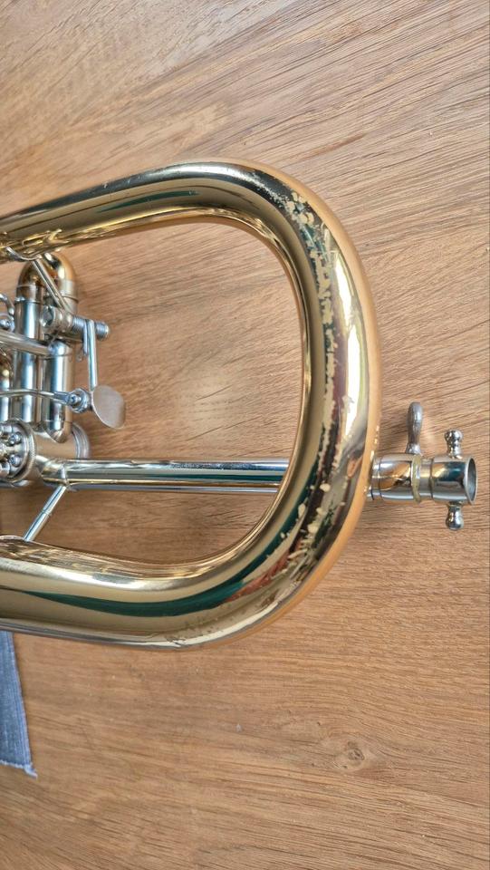 Flügelhorn Melton 124GT "orginal egerländer Musikantenmodel" in Baisweil