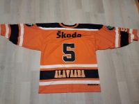 Eishockey Trikot Grizzlys Wolfsburg Alavaara in Orange Niedersachsen - Rühen Vorschau