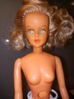 Tressy "Bella" Vintage (Barbie)Frankreich aus den 60ern ( Barbie) Nordrhein-Westfalen - Stemwede Vorschau