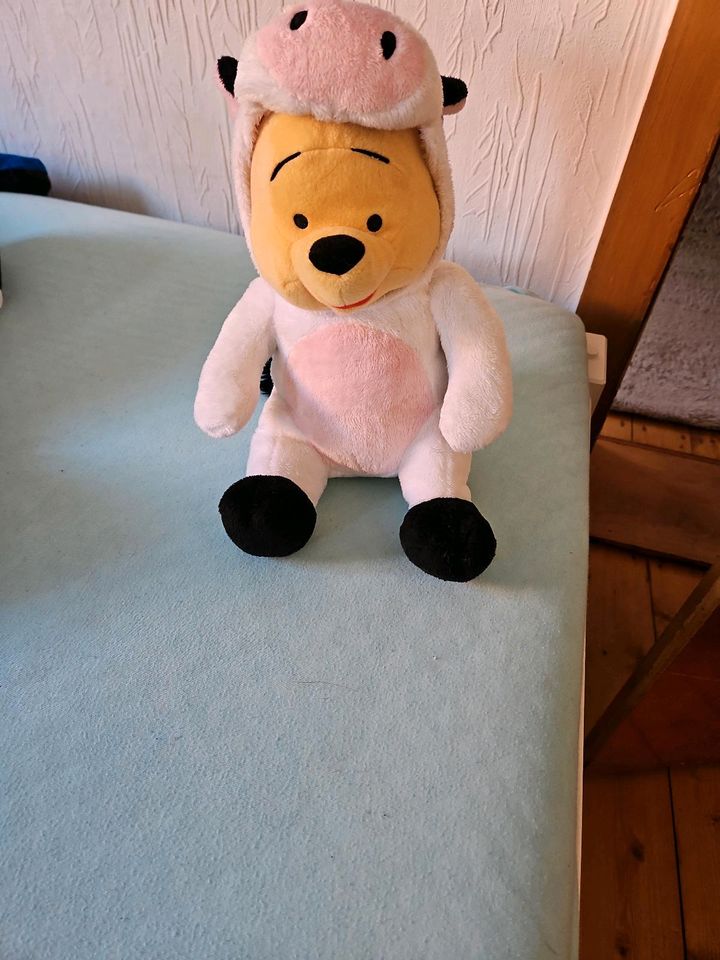 Winnie Pooh Kuscheltier in Schauenburg