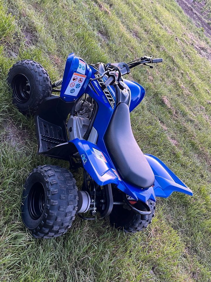 Yamaha YFM 90 Raptor Kinderquad in Rositz