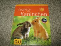 Zwergkaninchen  Klein mit großen Ansprüchen Nordrhein-Westfalen - Niederkrüchten Vorschau