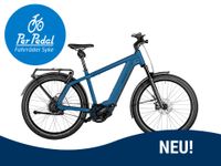 e-Bike Riese & Müller Charger4 vario / GT vario Niedersachsen - Syke Vorschau