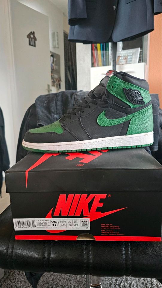 Nike Air Jordan 1 High Pine Green 44.5 Travis Scott Zoom SB in Magstadt