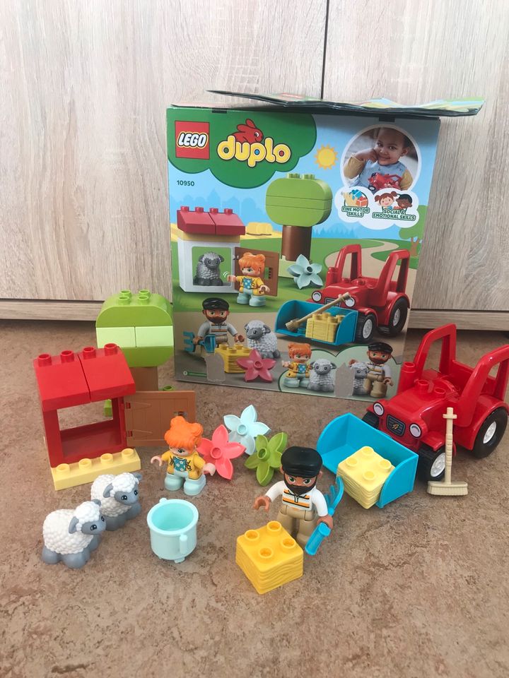 Lego Duplo Set kleiner Bauernhof 10950 ab 2+ in Diemelstadt