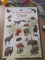 Riesenpappebuch Kinderbuch Tiere Bayern - Ansbach Vorschau