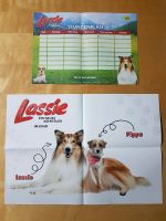 Kinofilm 2023 Lassie A3 Faltposter Plakat und Stundenplan UCI Brandenburg - Potsdam Vorschau