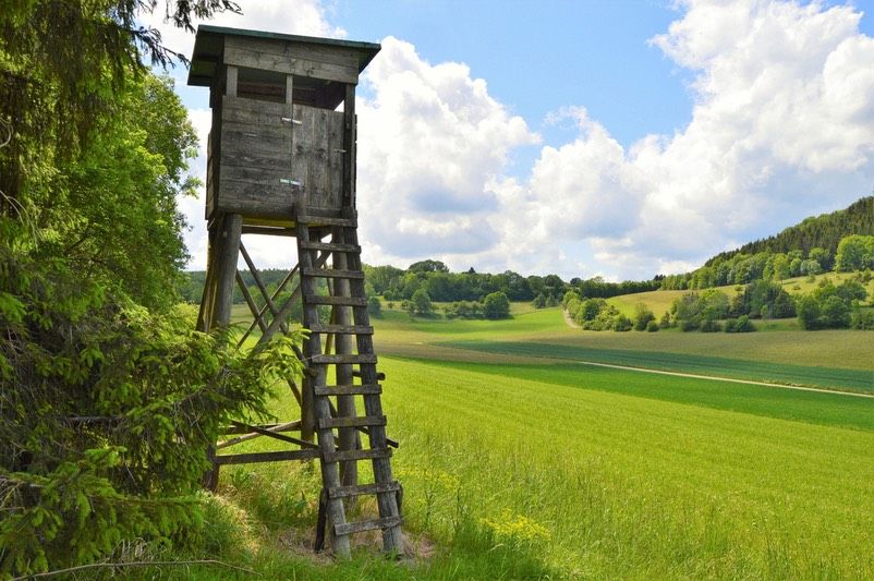 Jagd Helfer / Begleitung in Kiel