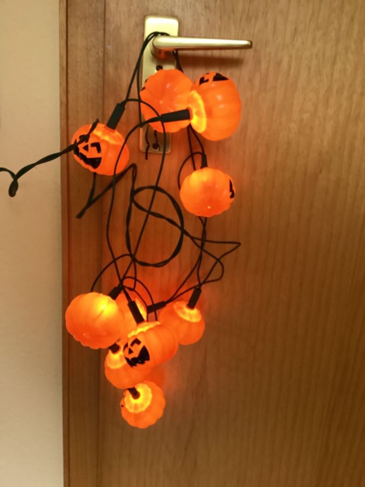 Lichterkette Halloween Kürbis für Innen, 10 Lichtern in Buchholz in der Nordheide