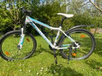 Checker Pig Mountainbike 24 Zoll Nordrhein-Westfalen - Windeck Vorschau