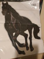 XXL Aufkleber schwarz Pferd Rappe NEU PKW Digital PRINTED Orajet® Brandenburg - Schwedt (Oder) Vorschau