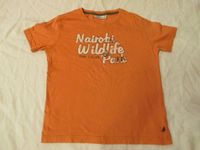TOM TAILOR T- Shirt Shirt orange Wildlife Gr. 116 - 122 wie NEU Brandenburg - Kyritz Vorschau