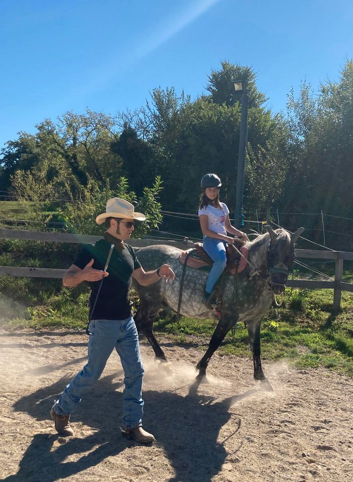 HORSEMANSHIP | TRAINING | COACHING in Nördlingen