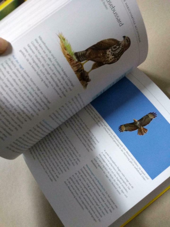 Das blv Handbuch Vögel, Brutvögel Mitteleuropas in Weißenburg in Bayern