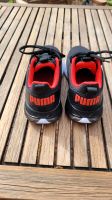 Puma Softfoam Turnschuhe Brandenburg - Panketal Vorschau