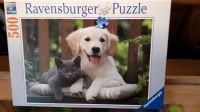 Ravensburger Puzzle Hund + Katze 500 Teile Baden-Württemberg - Wolpertshausen Vorschau