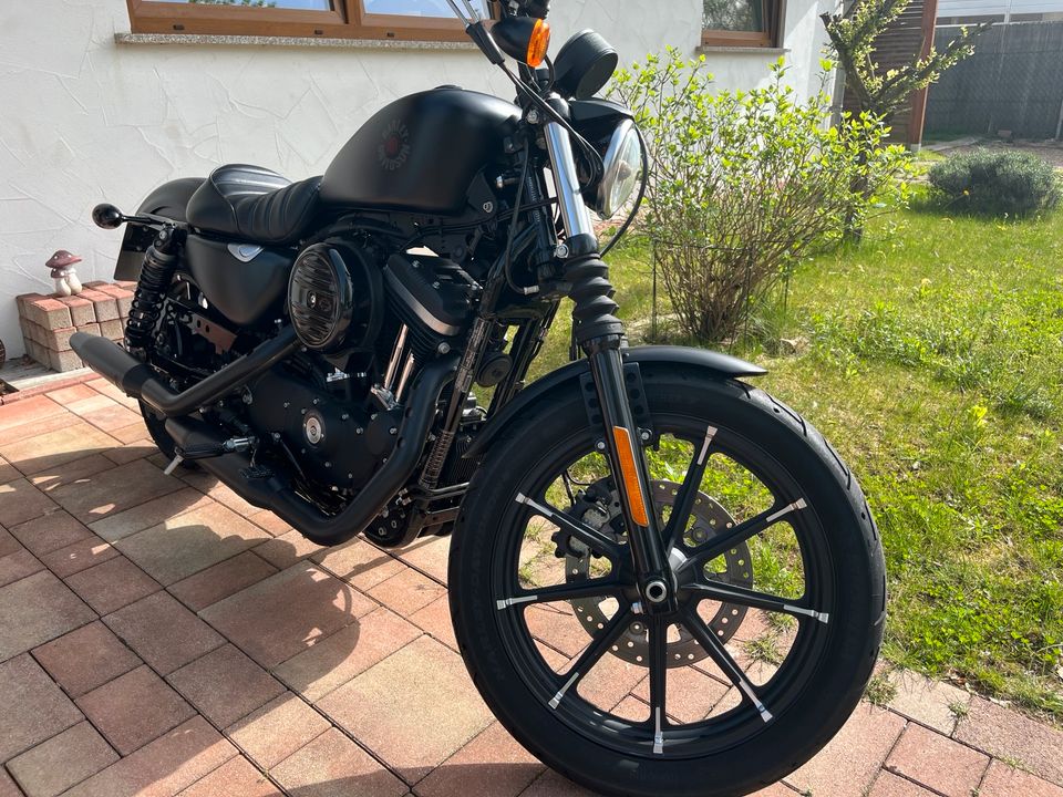 Harley Davidson Sportster Iron 883 in Bexbach