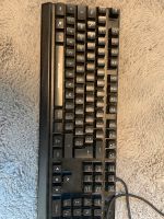 PC Tastatur Stormcrow 100% Brandenburg - Cottbus Vorschau