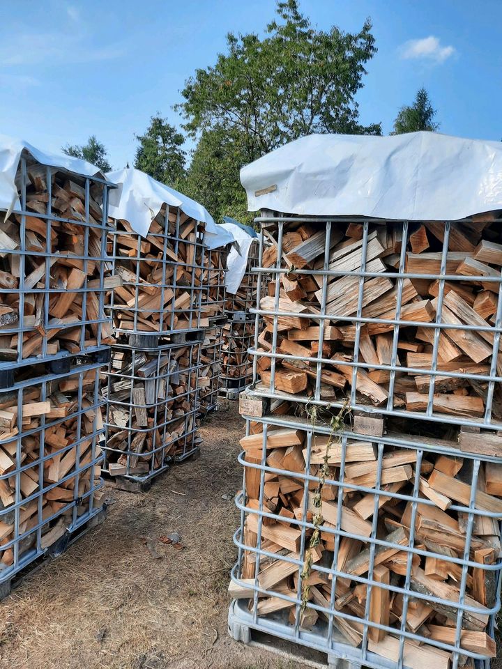 Brennholz Buche und Fichte ofenfertig oder 1m gespalten in Vilshofen an der Donau