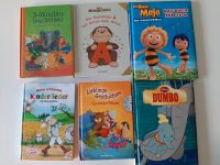 Verschiedene Kinderbücher / Geschichten Bücher Dresden - Räcknitz/Zschertnitz Vorschau