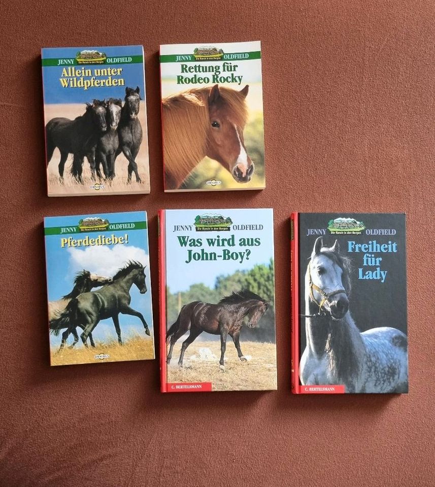 Bücher "Die Ranch in den Bergen" Teil 1 - 5 in Leipzig