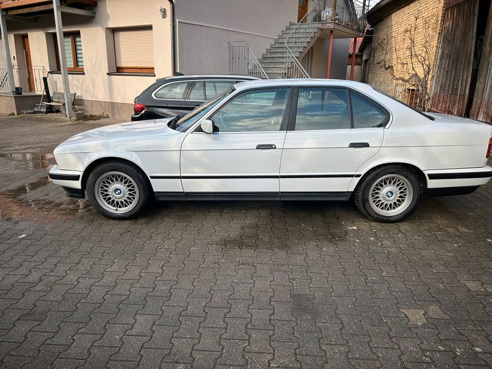 BMW E34 520i in Krautheim