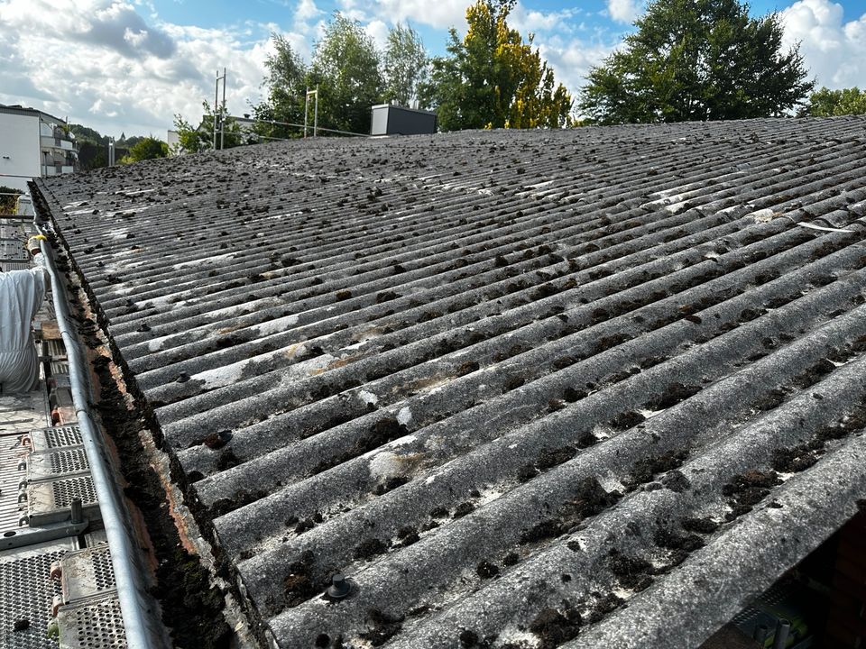 Dachdecker sucht Aufträge  ,Dach decken ,asbest nach TRGS 519 in Sprakel
