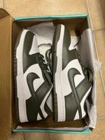 Nike Dunks Olive Green (neu & originalverpackt) Hessen - Dreieich Vorschau