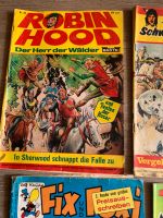 Comics Konvolut Bayern - Rödental Vorschau