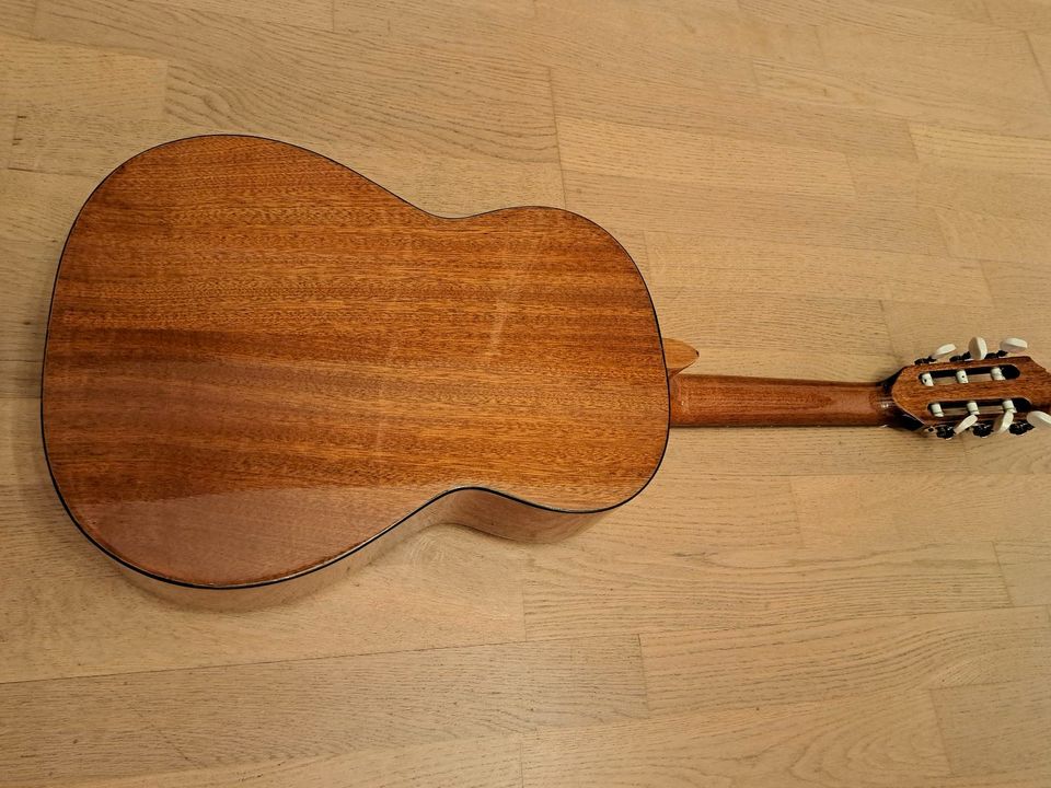 Konzertgitarre Pro Arte Gitarre GC-50 II Größe 1/2, 530 mm Mensur in Rangsdorf