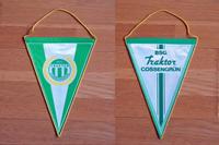BSG Traktor Cossengrün Wimpel Fahne Fußballverein DDR Leipzig - Kleinzschocher Vorschau