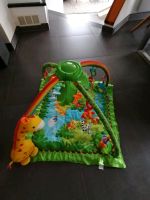 Fisher Price Spielebogen Dschungel Baden-Württemberg - Kenzingen Vorschau